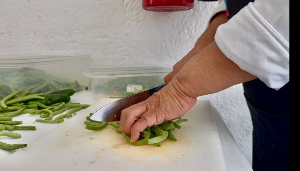 Nutrición. Se aporta en la alimentación en una de las etapas más importantes de los niños.