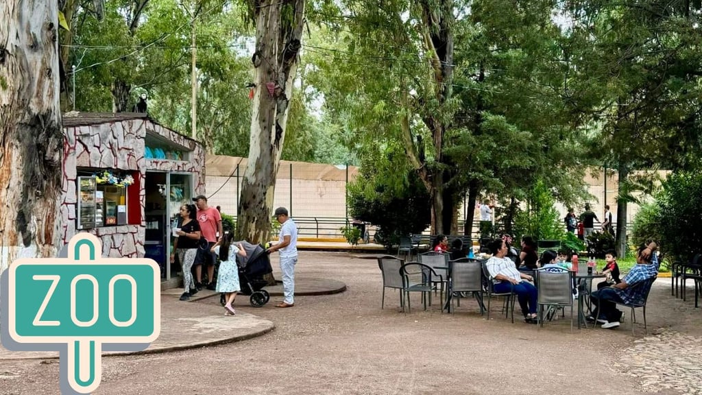 Invitan este fin de semana largo al Zoológico Sahuatoba