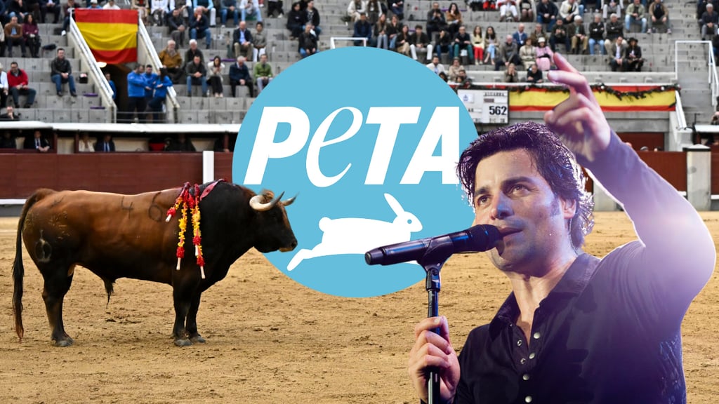 Animalistas le piden a Chayanne cambiar el título de canción. No, no es broma