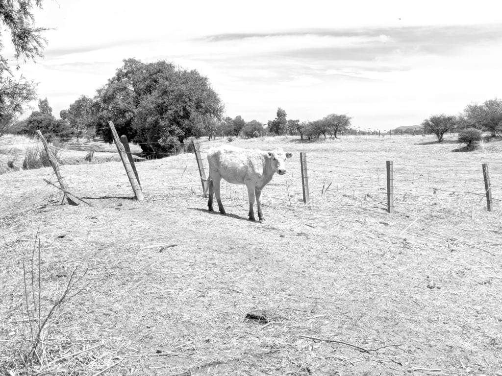 Afectación. En la Zona Sierra es donde ya se están presentando algunos estragos y consoderan que se van a incrementar.