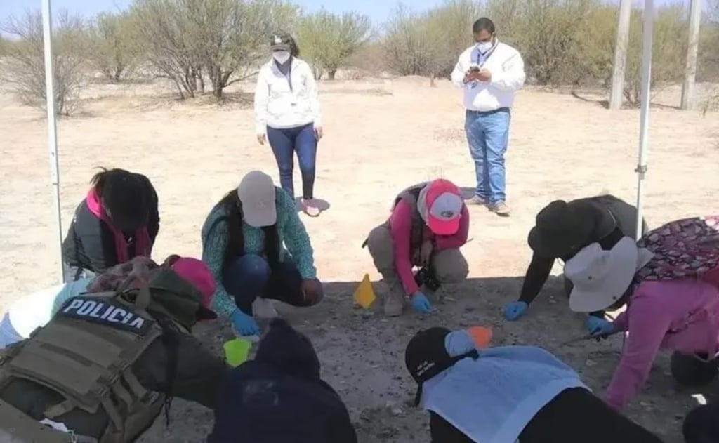 Los 197 cuerpos exhumados en 2023 en La Laguna, podrían ser identificados pronto