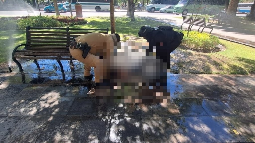 Caso. Fue encontrado con un fuerte golpe en la cabeza en un jardín de Las Alamedas y murió mientras lo atendían en el Hospital General 450.