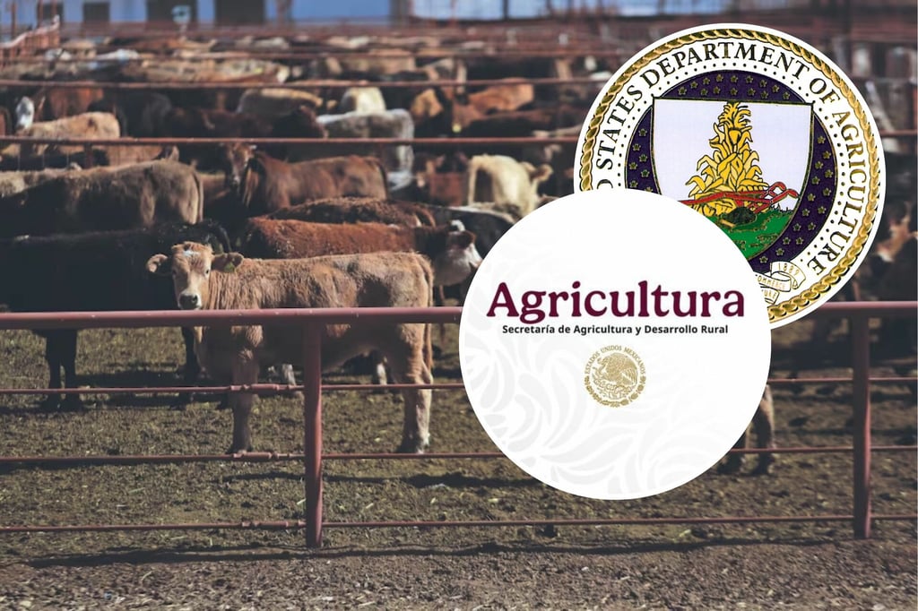 Gusano Barrenador: Sader busca acuerdo con EU tras freno a la importación de ganado