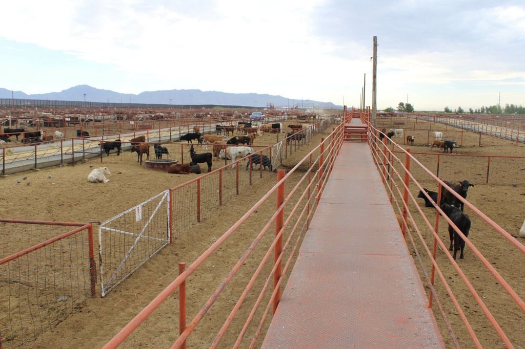 Culpa México a EU por barrenador