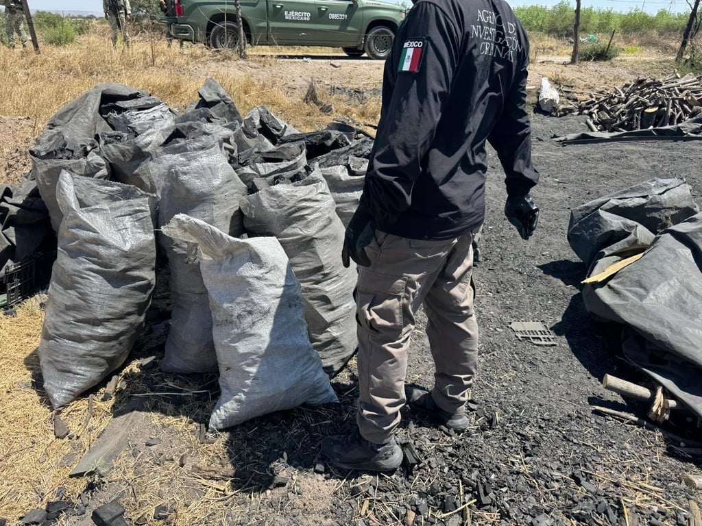 Hecho. Por el delito de tala ilegal, la FGR en cateo aseguró un inmueble en Durango.