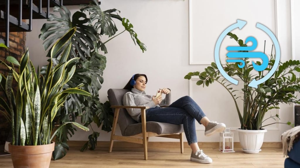 Estas son cinco plantas que ayudan a refrescar la casa
