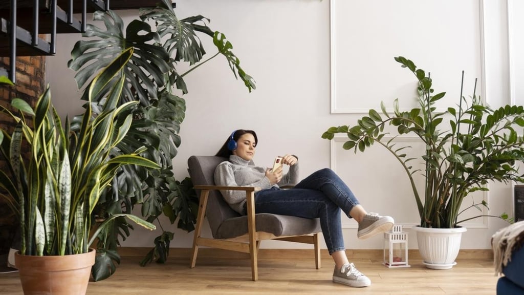 ¿Quieres mantener tu casa 'fresca'? Estas plantas te ayudarán