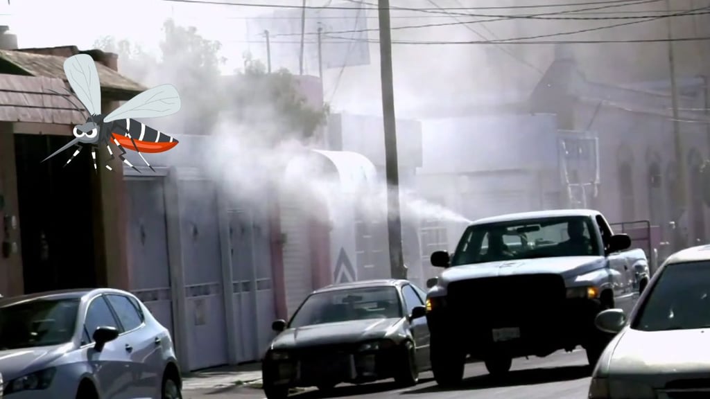 Durango reporta 8 casos de dengue en lo que va de 2025, ¿qué recomienda la Secretaría de Salud?