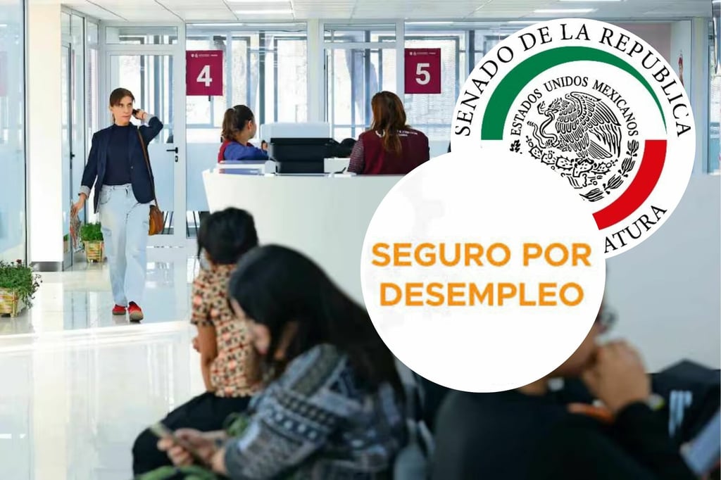 Senado analiza el crear un Seguro Nacional de Desempleo a nivel federal