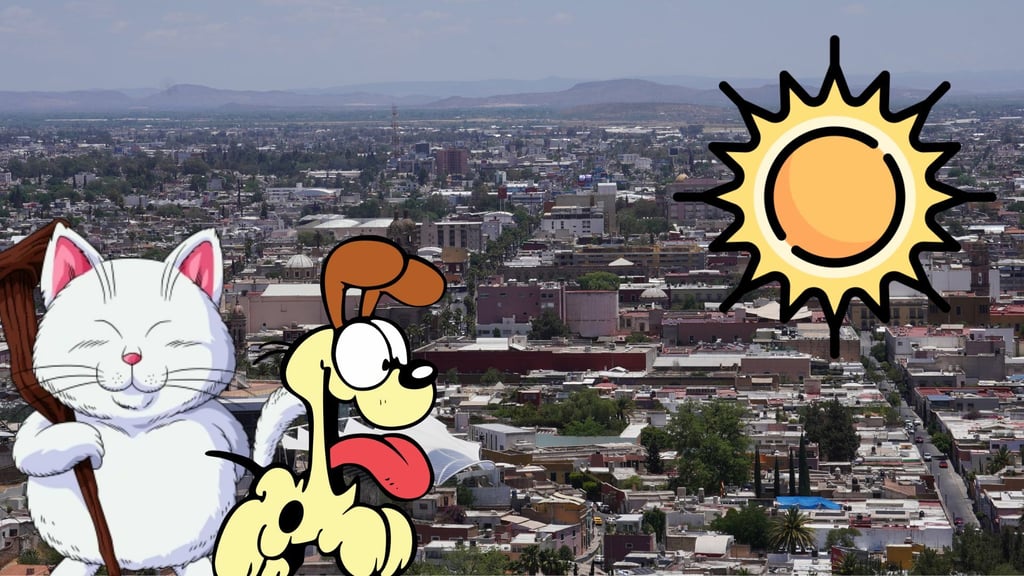 ¿Cómo evitar un golpe de calor en perros y gatos? Aquí te contamos