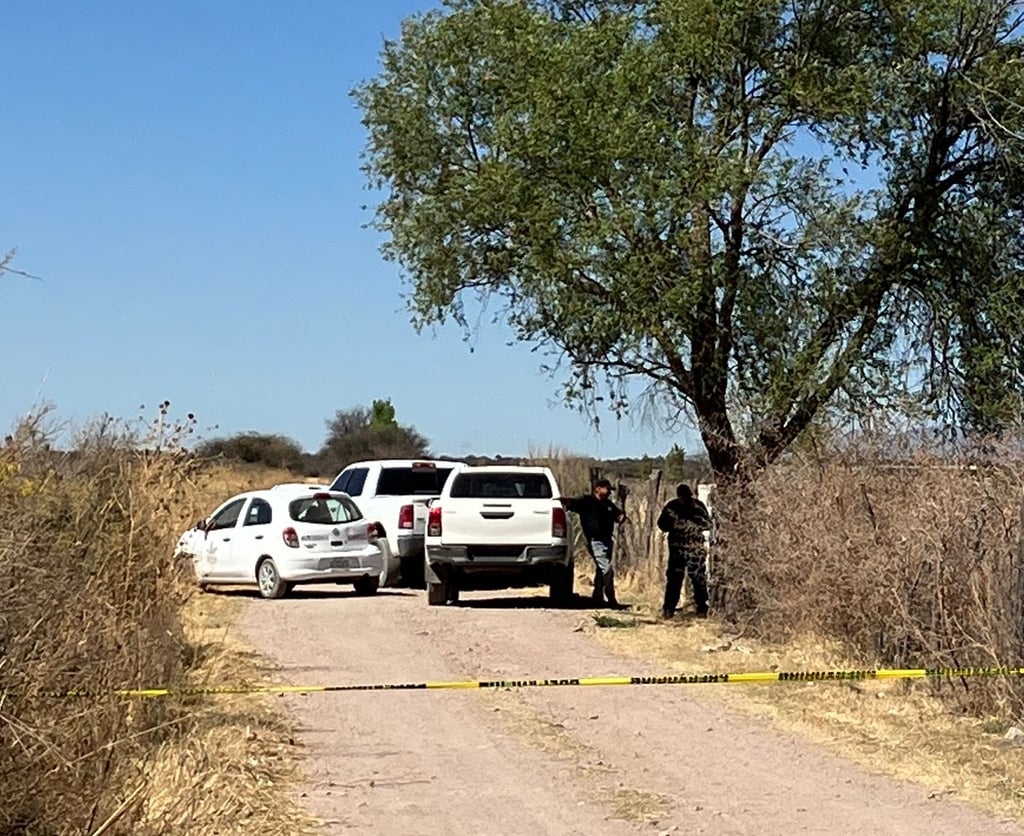Caso. Un hombre de la tercera edad fue encontrado sin vida; se lo comía su perro.