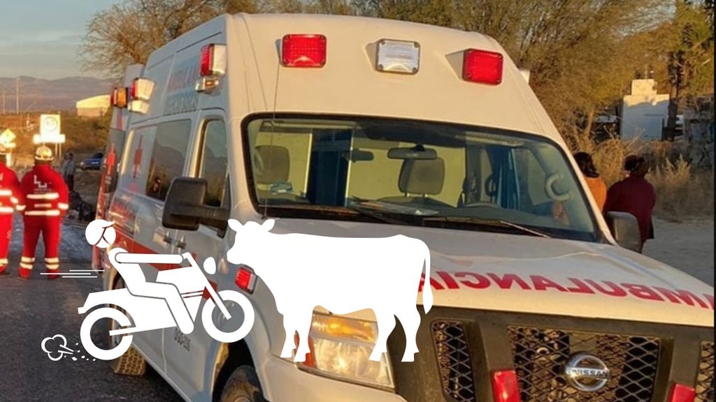 Motociclista resulta lesionado al chocar contra una vaca en carretera Durango-Mezquital