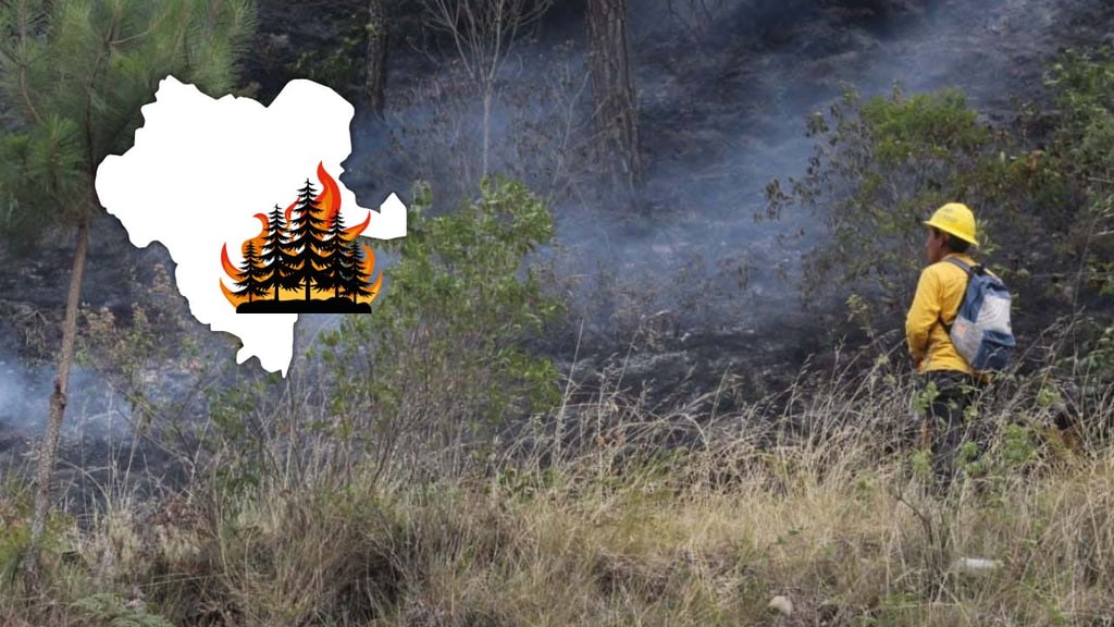 Durango registra más de 200 incendios en lo que va de la temporada