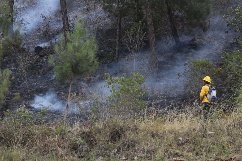 Temporada. Ya se han afectado aproximadamente 50 mil hectáreas, principalmente de arbustos y pastizal; sin embargo, es una situación que representa una preocupación. 