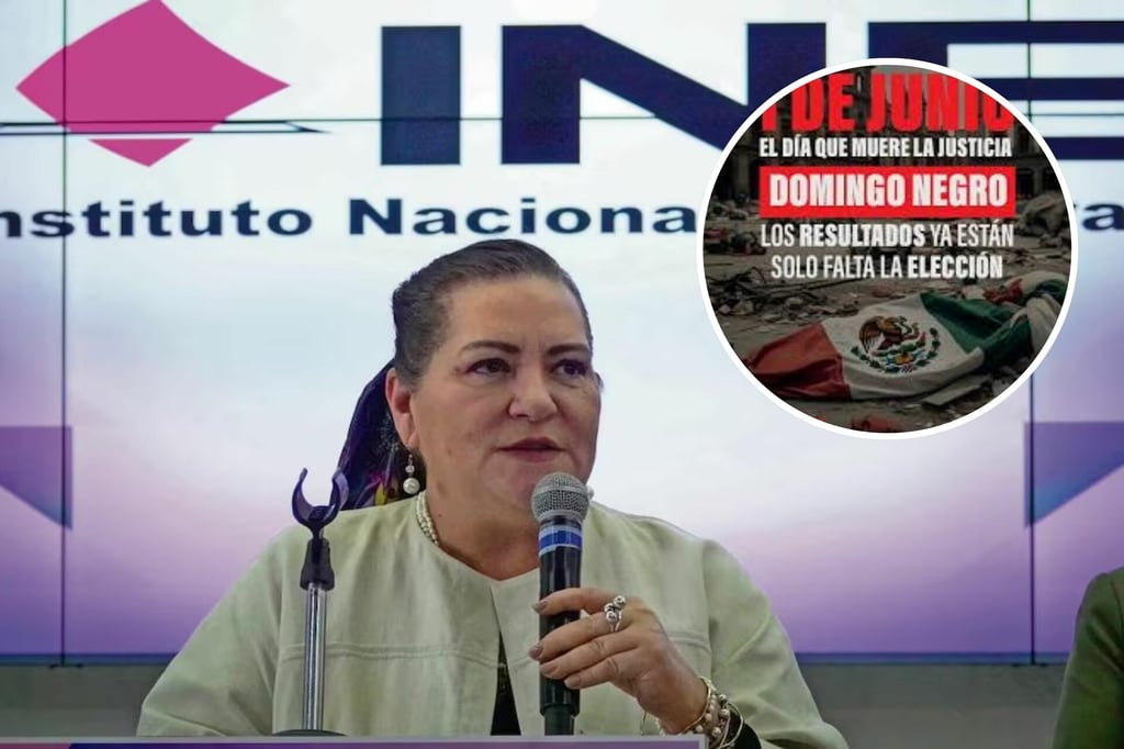 Elección de Jueces: INE, preocupado por llamados a no votar; Taddei invita a participar el 1 de junio