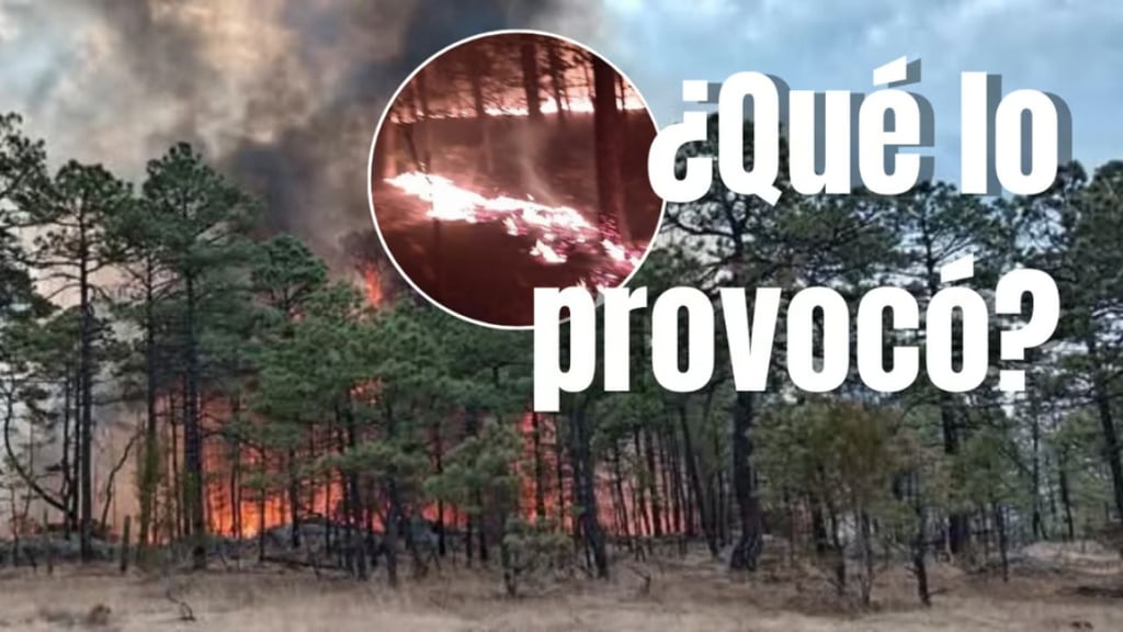¿Qué originó el incendio en Tepehuanes? Esto es lo que sabemos
