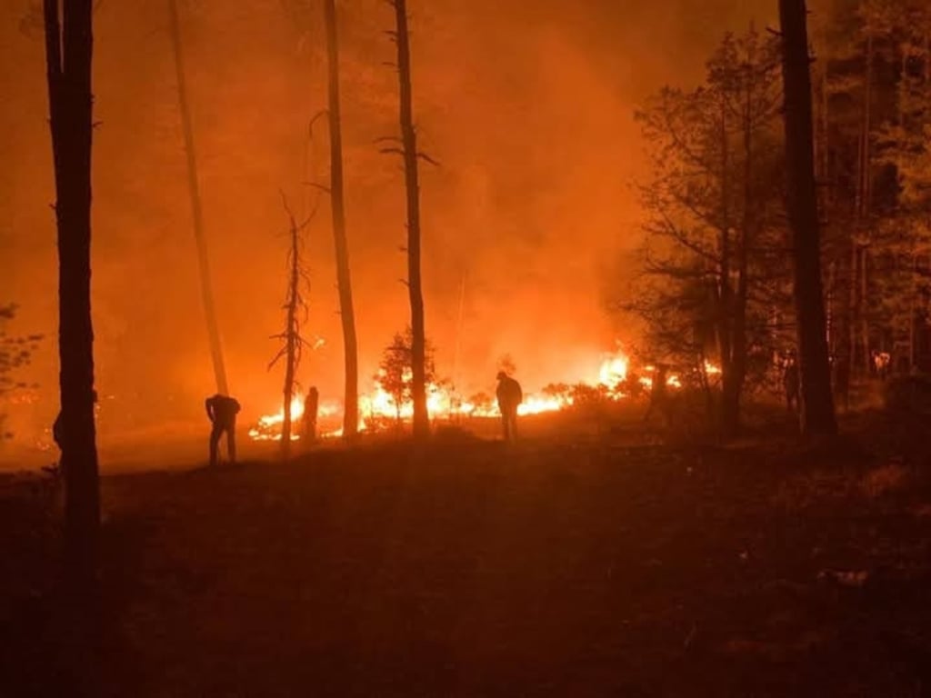 Afectación. Se trata de los incendios forestales más grandes que se han registrado este año en la entidad, junto con los de Tamazula y Mezquital.