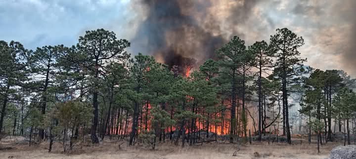Incendio sin control azota a Tepehuanes