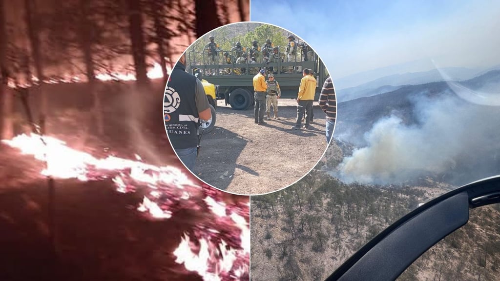 Incendio en Tepehuanes ya está controlado al 60%; continúa recolección de víveres