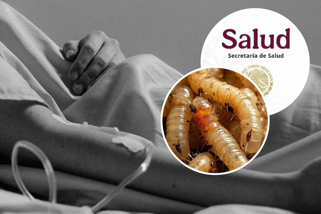 Gusano Barrenador: Detectan el tercer caso en humanos; todos los pacientes son de Chiapas