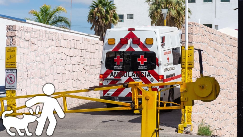 Bebé de un año sufrió fractura de pierna por la mordedura de un perro