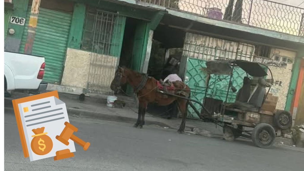 Existen multas de hasta 11 mil pesos por maltrato a animales de carga en Durango