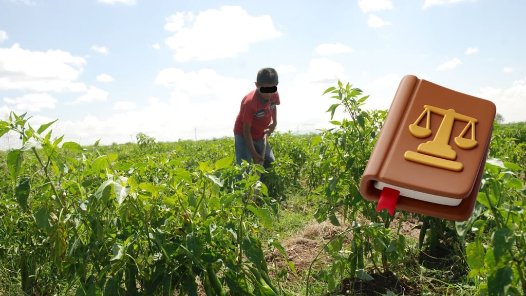 Proponen tipificar como delito el trabajo agrícola infantil en Durango