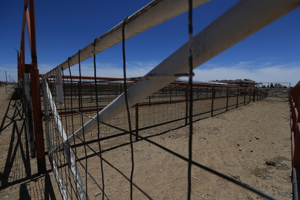 Postura. Perciben pasividad de las autoridades para renegociar la apertura de la frontera al ganado mexicano.