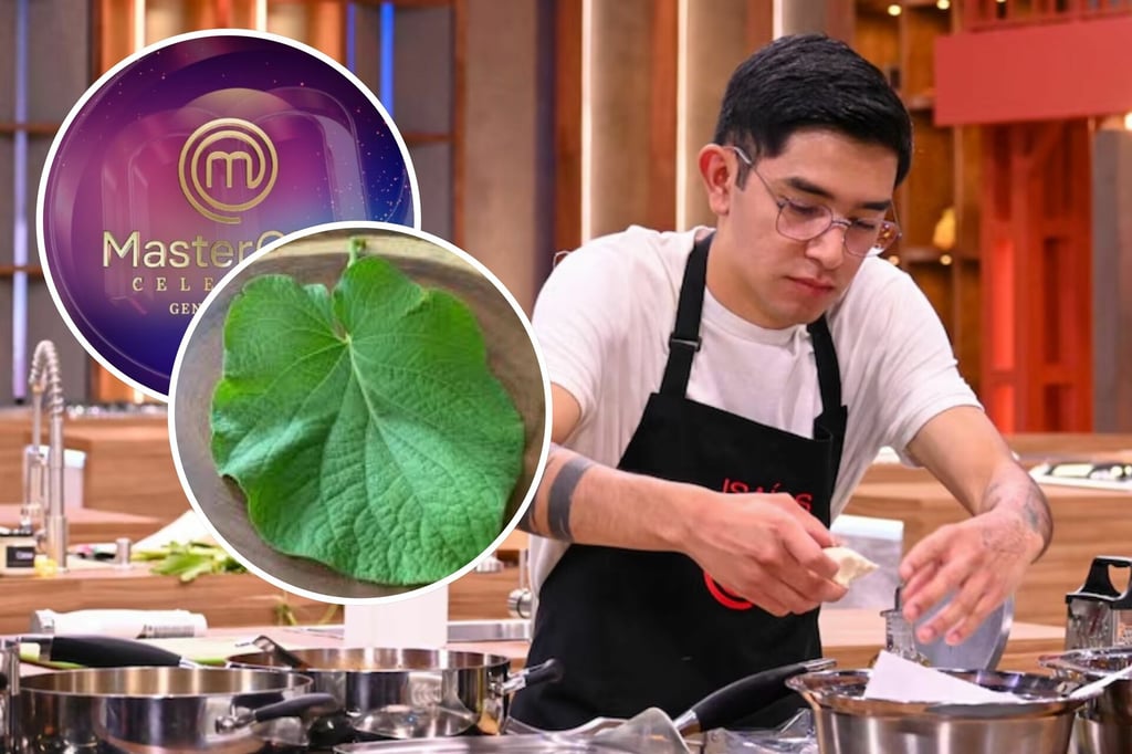 ¿La hoja santa es tóxica como se dijo en MasterChef? Expertos responden