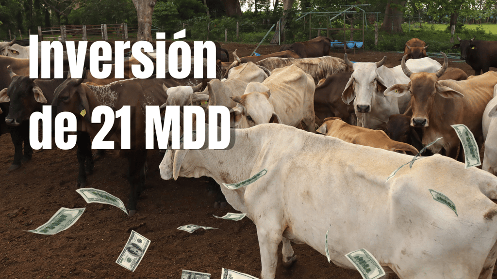 Estados Unidos invertirá 21 mdd en este estado de México en su planes contra el gusano barrenador