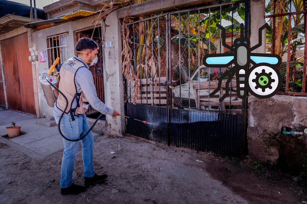 Trabajan en acciones para prevenir el dengue en Durango