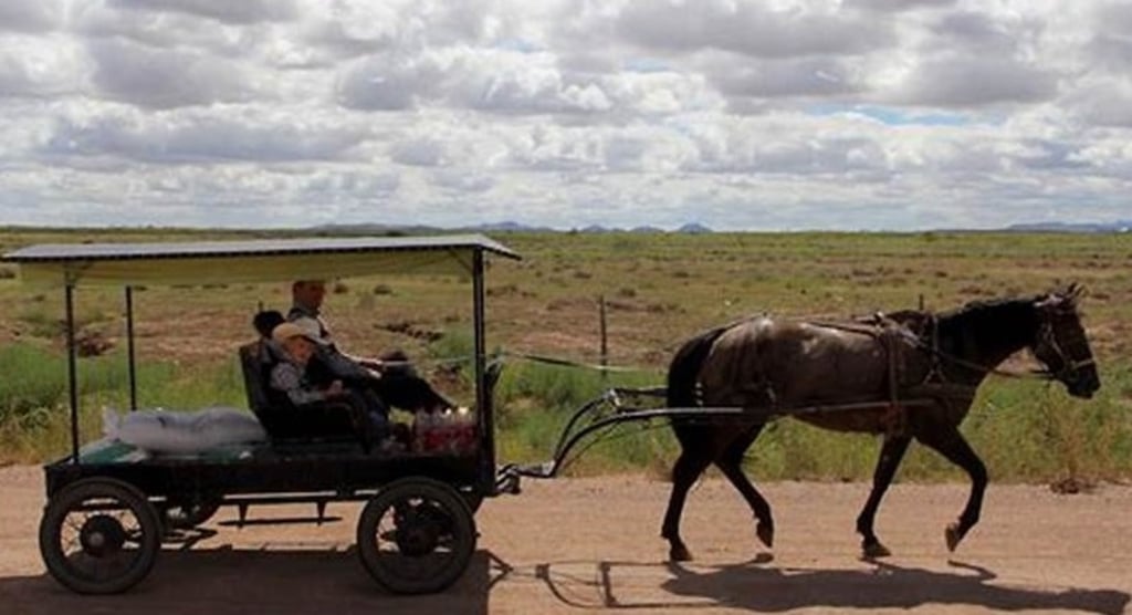 Menonitas. Es en esta región donde se han detectado los casos positivos de sarampión y se realizó un cerco sanitario y la campaña de vacunación en esta zona.