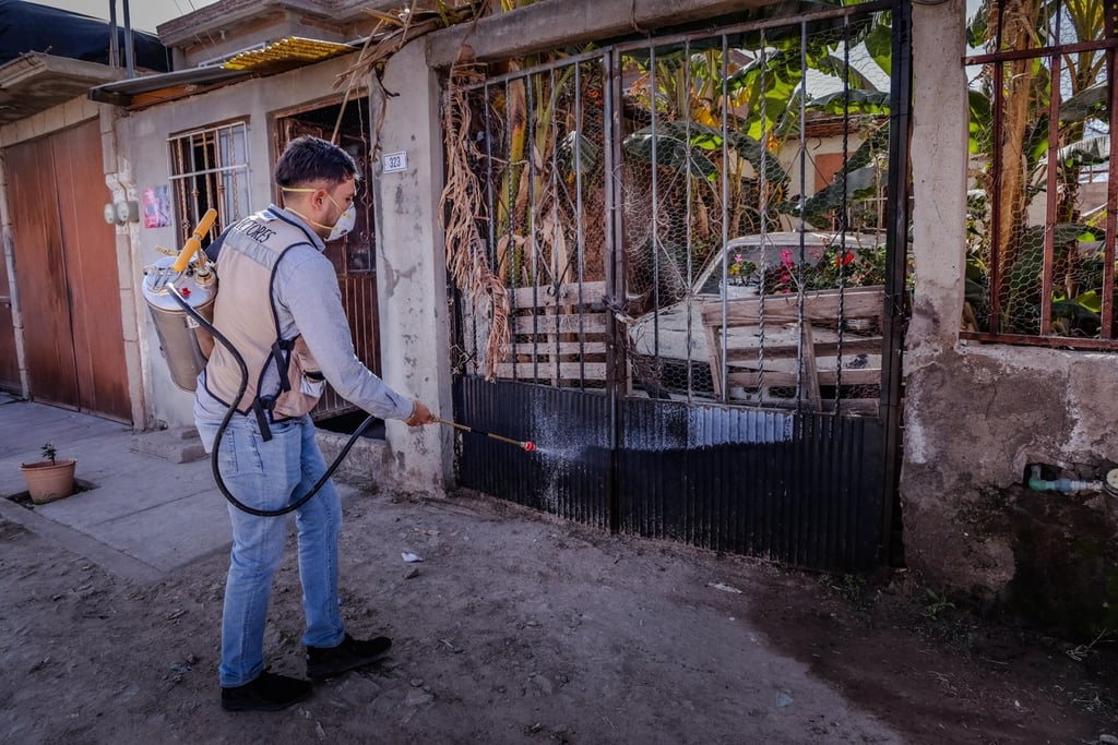 Descacharrización. Además de retirar todos los objetos acumulados, se realizan nebulizaciones en algunas colonias.