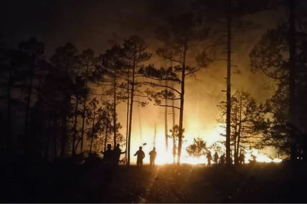 Durango, séptimo lugar por incendios forestales