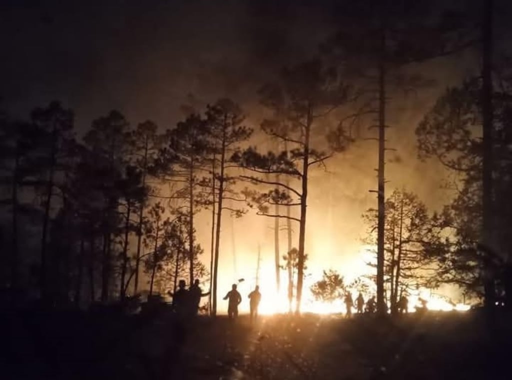 Durango, séptimo lugar nacional por incendios forestales