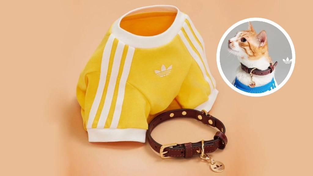 Adidas Originals: Así se ve la nueva línea de ropa para mascotas