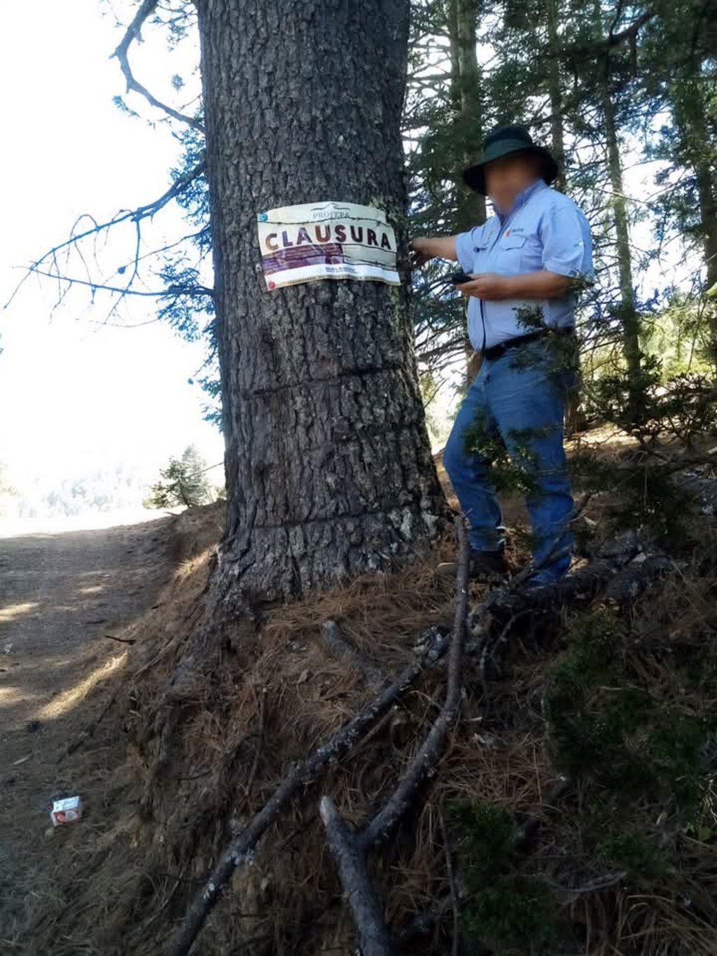 Trámite. En la zona se colocó el sello de la clausura temporal por parte de un inspector.