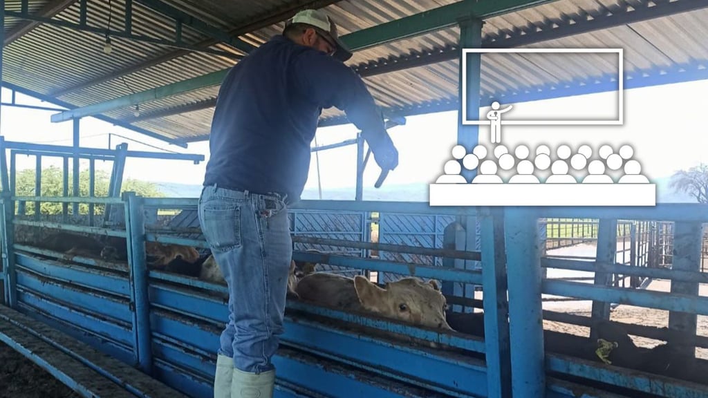 Gusano Barrenador: Durango se une a seminario internacional para su erradicación