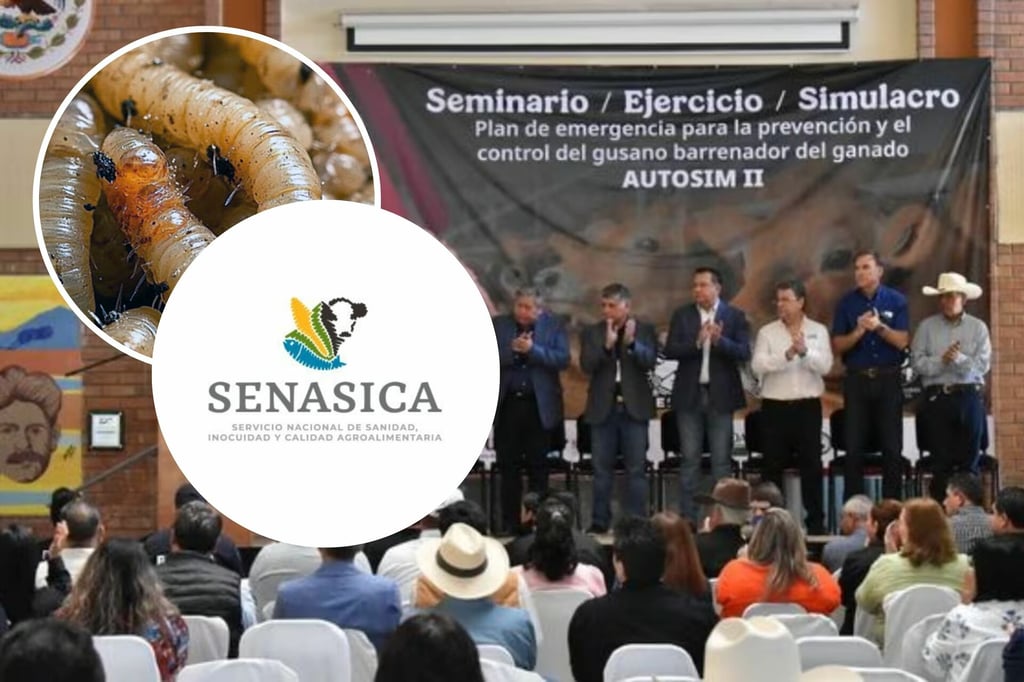 Gusano barrenador: Capacitan a ganaderos del norte de México; trabajan en diagnóstico y tratamiento