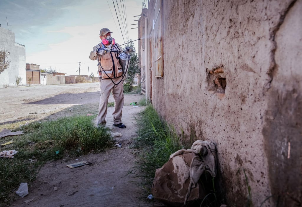 Durango capital, sin casos de dengue: Salud Pública Municipal