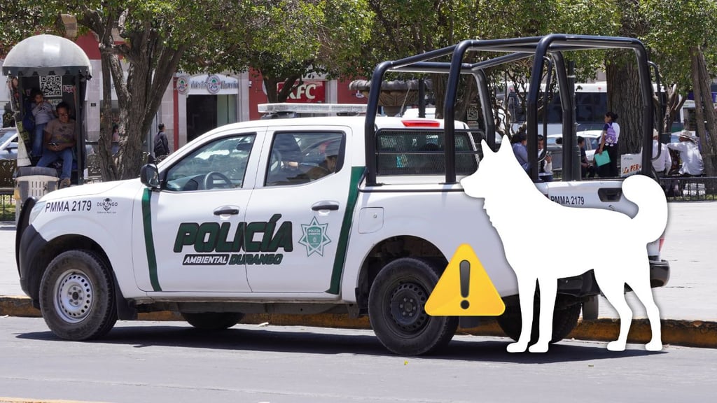 Detectan otro criadero de cachorros en una casa abandonada de la ciudad de Durango