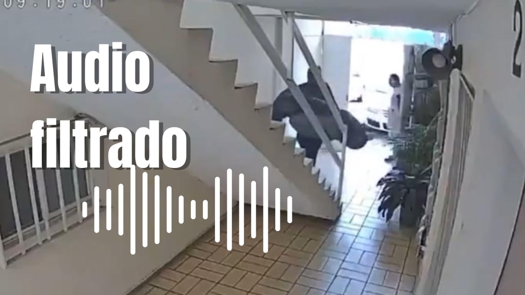 Caso Lorena Jacqueline: revelan supuesto audio del presunto feminicida