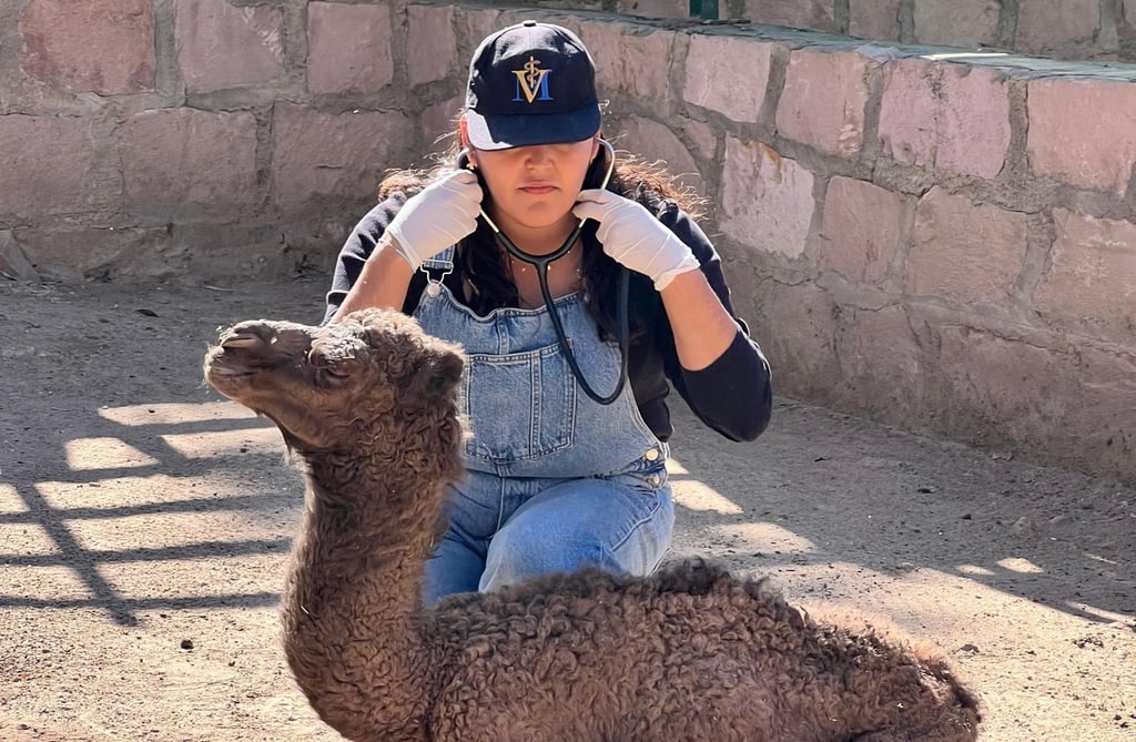 Bienestar animal. El personal se capacita de manera constante para dar atención médica a los ejemplares y seguir sus condiciones de salud y lo que requieren.

