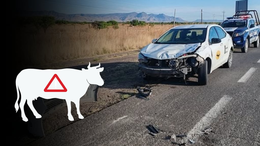Taxista del aeropuerto de Durango choca contra una vaca; venía de Canatlán