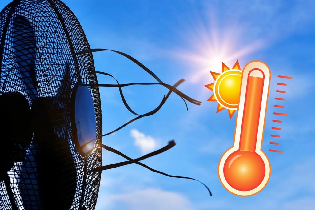 Ola de calor: 5 consejos para mantener tu casa más fresca