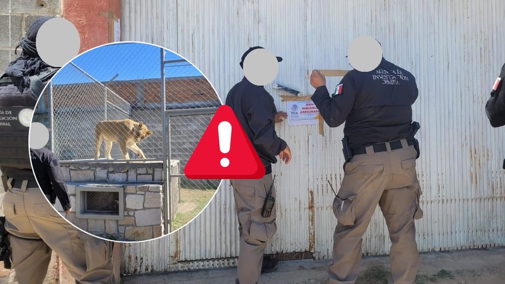 Decomisan 22 animales exóticos y aseguran un inmueble en Durango