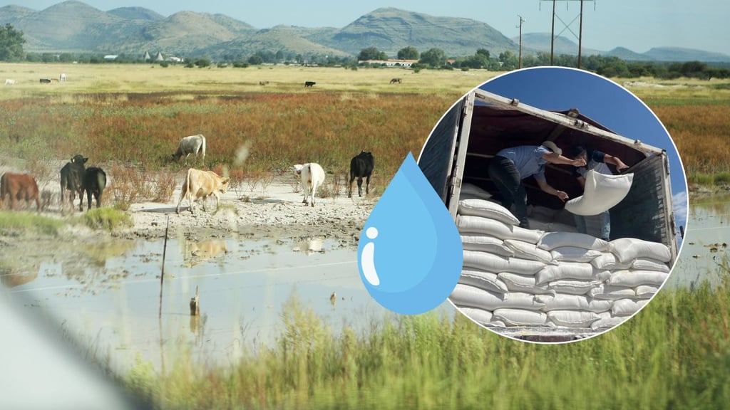 Productores de Durango, con buen ánimo por las precipitaciones: SAGDR