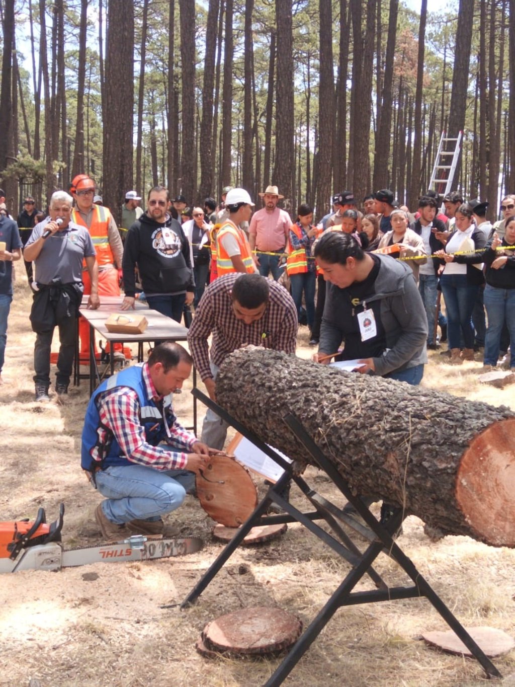 Dinámicas. Se llevaron a cabo competencias y actividades que pusieron a prueba los conocimientos y destrezas de los participantes en áreas clave.