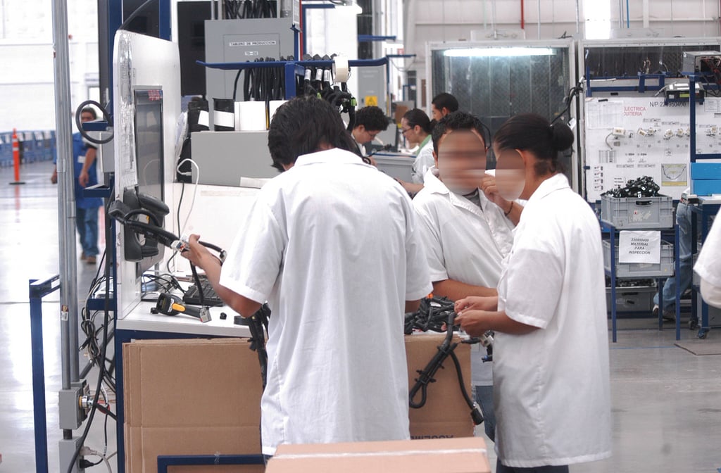 Acuerdos. A decir de la empresaria, se tendrá que buscar un acuerdo con los trabajadores para aumentar la productividad. 