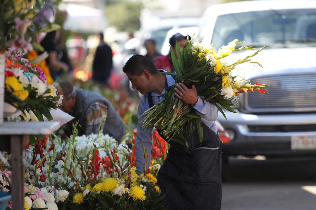 'Romería del Día del Padre será tranquila', adelantan